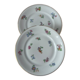 Pair of floral vintage dessert plates gilded white porcelain from limoges