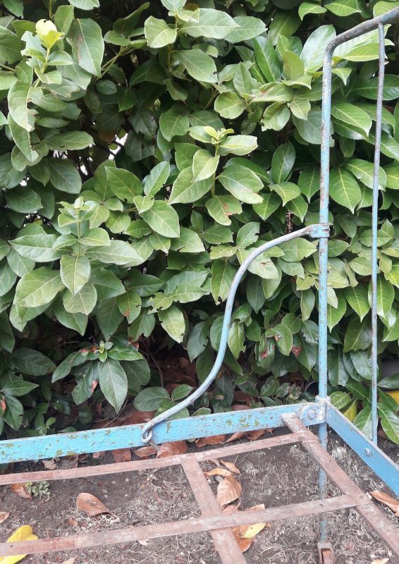 Folding iron bed XIX°