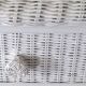 Wicker commode, 20th century