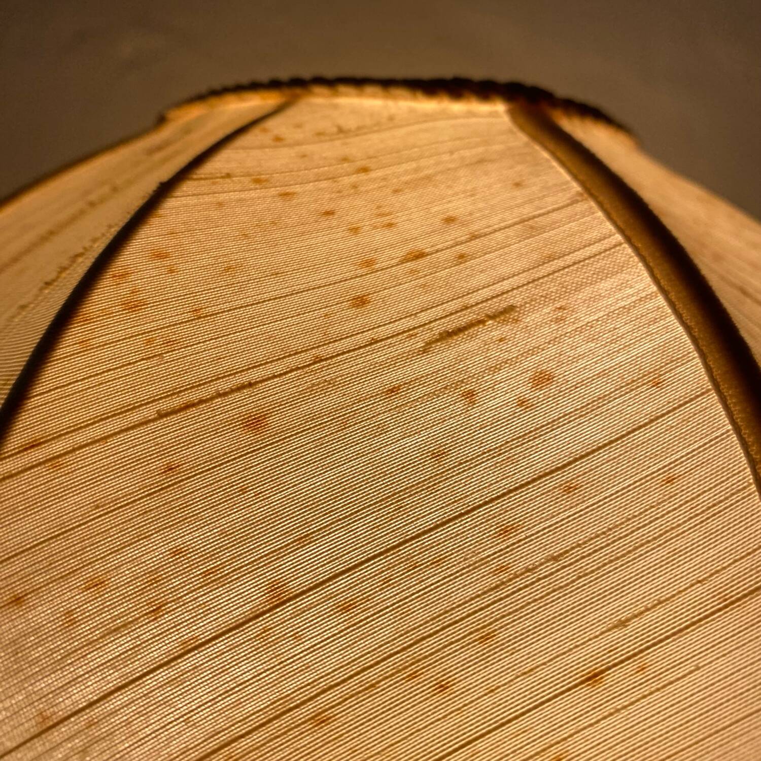 Retro wrought iron and pearl lamp