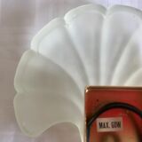 Pair of shell sconces