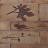 Table basse Herbier par Roger Capron