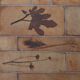 Herbier coffee table by Roger Capron