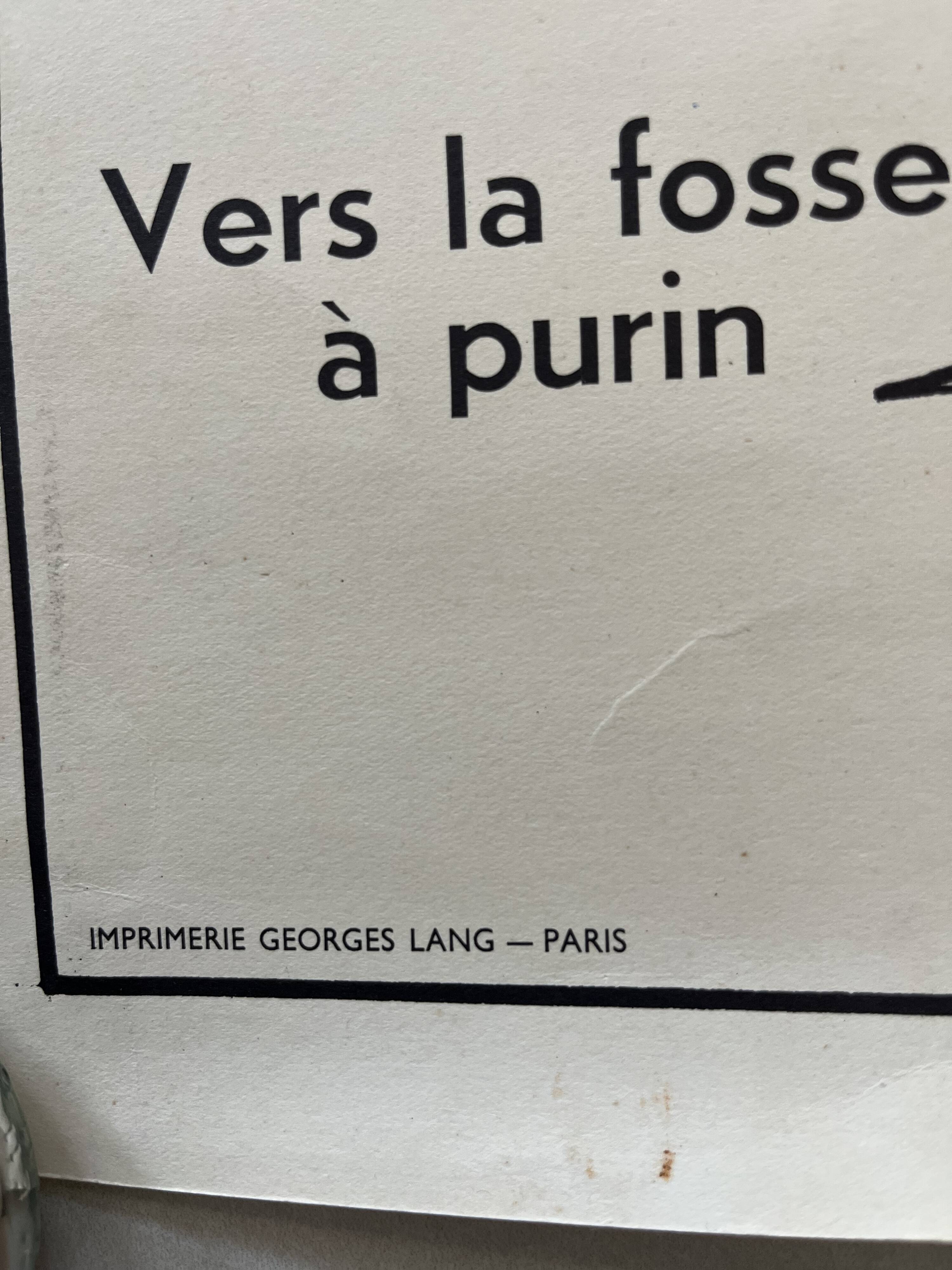 Affiche scolaire ancienne Rossignol – Anatomie animale chat / porc – recto