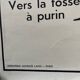 Affiche scolaire ancienne Rossignol – Anatomie animale chat / porc – recto