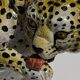 Terracotta ceramic cheetah or leopard statue, 1950s