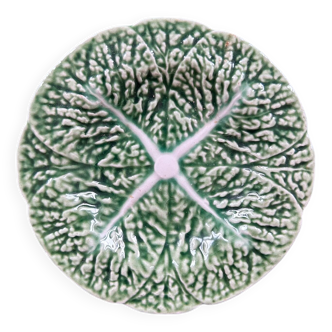 Small plate of cabbage in barbotine
