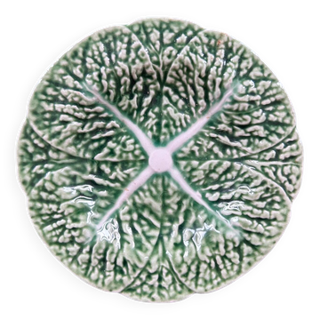 Small plate of cabbage in barbotine