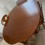 Table salon + 4 chaises