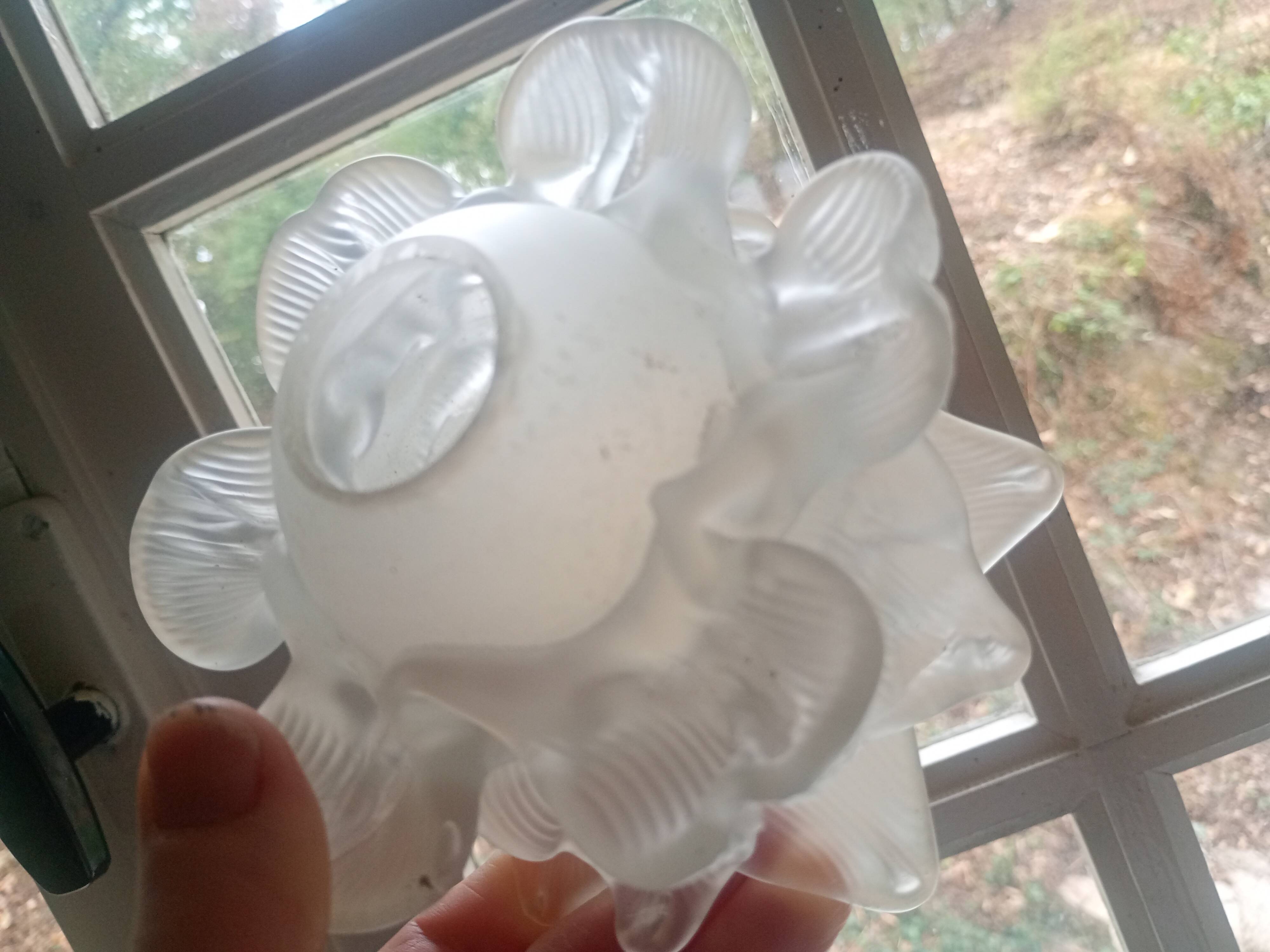 Grande Tulipe ancienne en forme de fleur "rose" - verre dépoli
