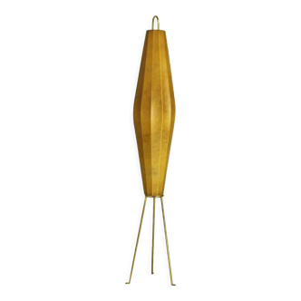 Lugano Floor Lamp by H. Klingele for Artimeta, 1950s