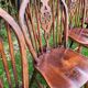 4 Windsor wheelback chairs in dark oak