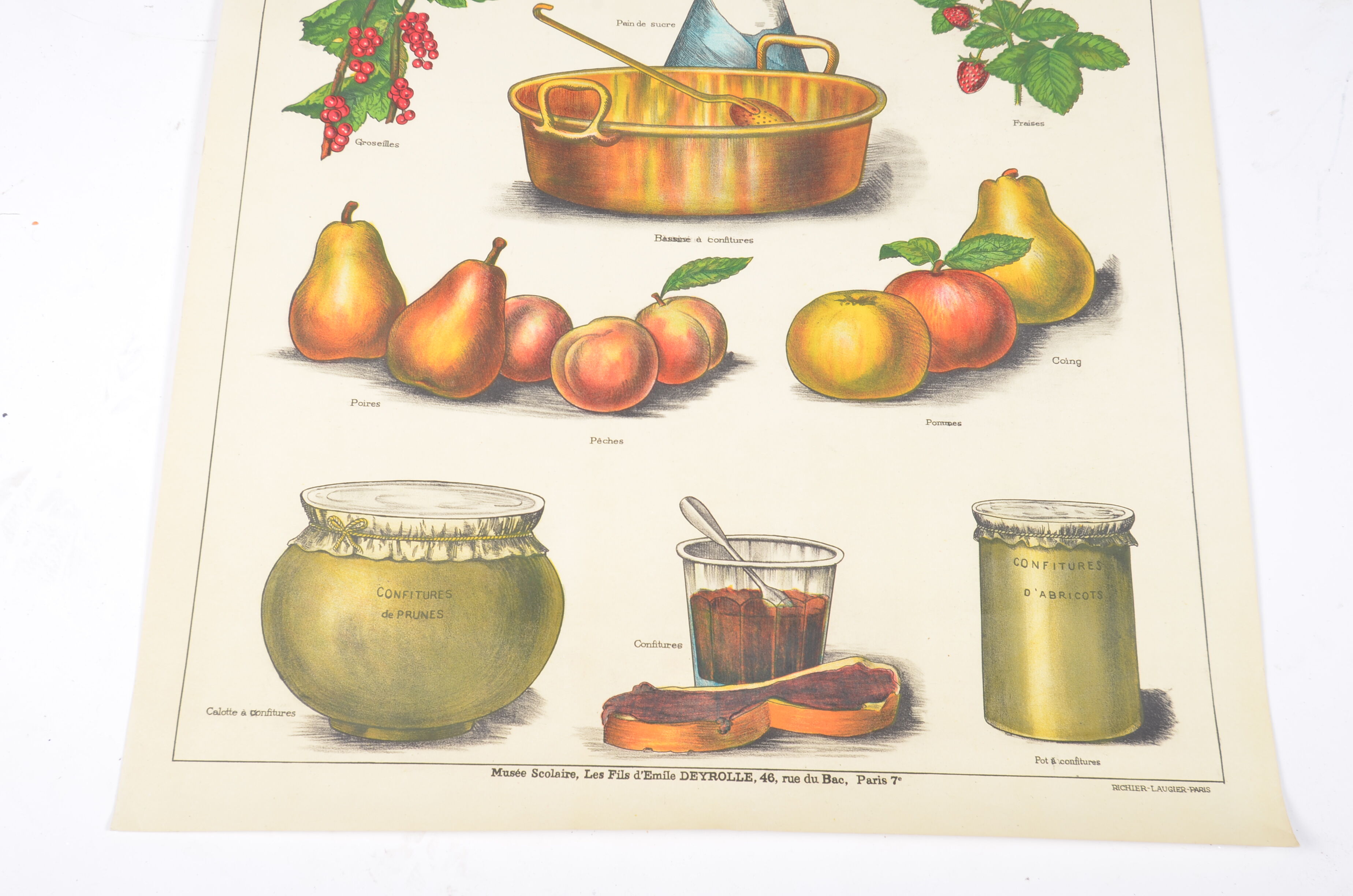 Poster Deyrolle "the compotes"