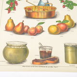 Poster Deyrolle "the compotes"