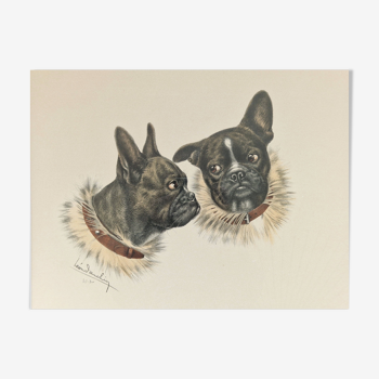 Old lithograph Bulldogs by Léon Danchin