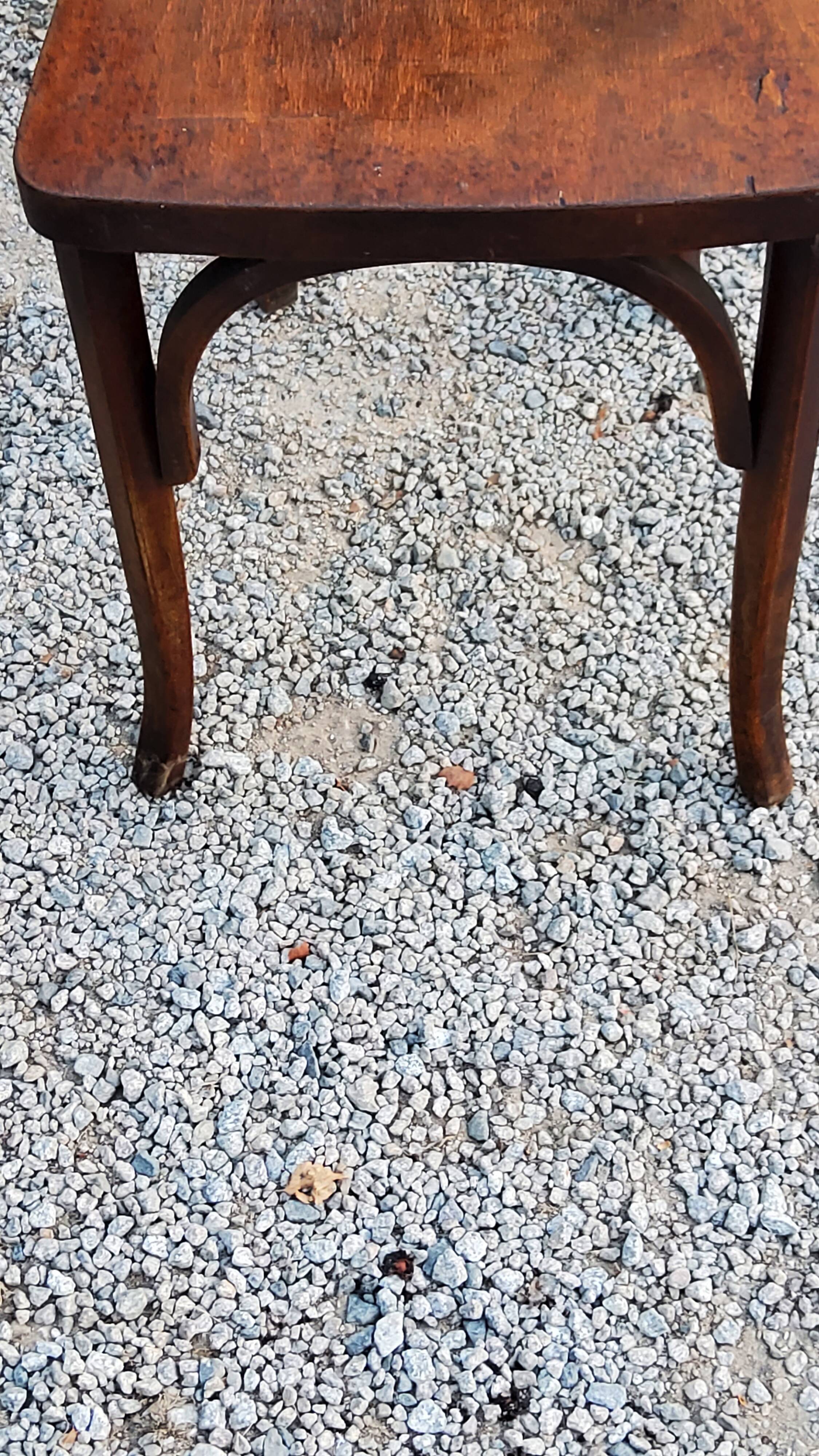 Set of 5 Stella Thonet bistro chairs from the 1950s