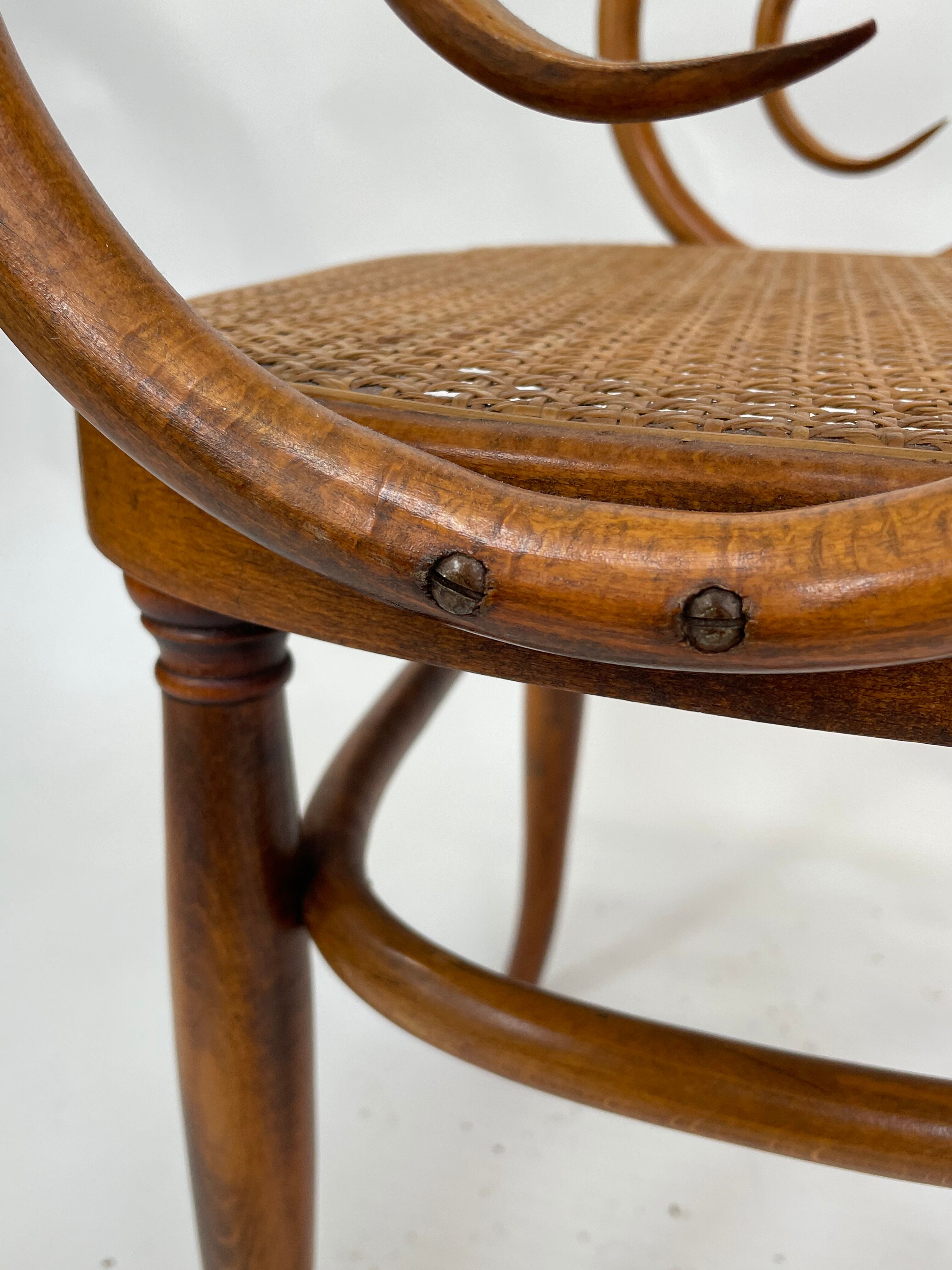 Sculptural bendwood side chair model