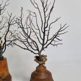 Pair of black fan corals on turned wooden base, Height 25 cm