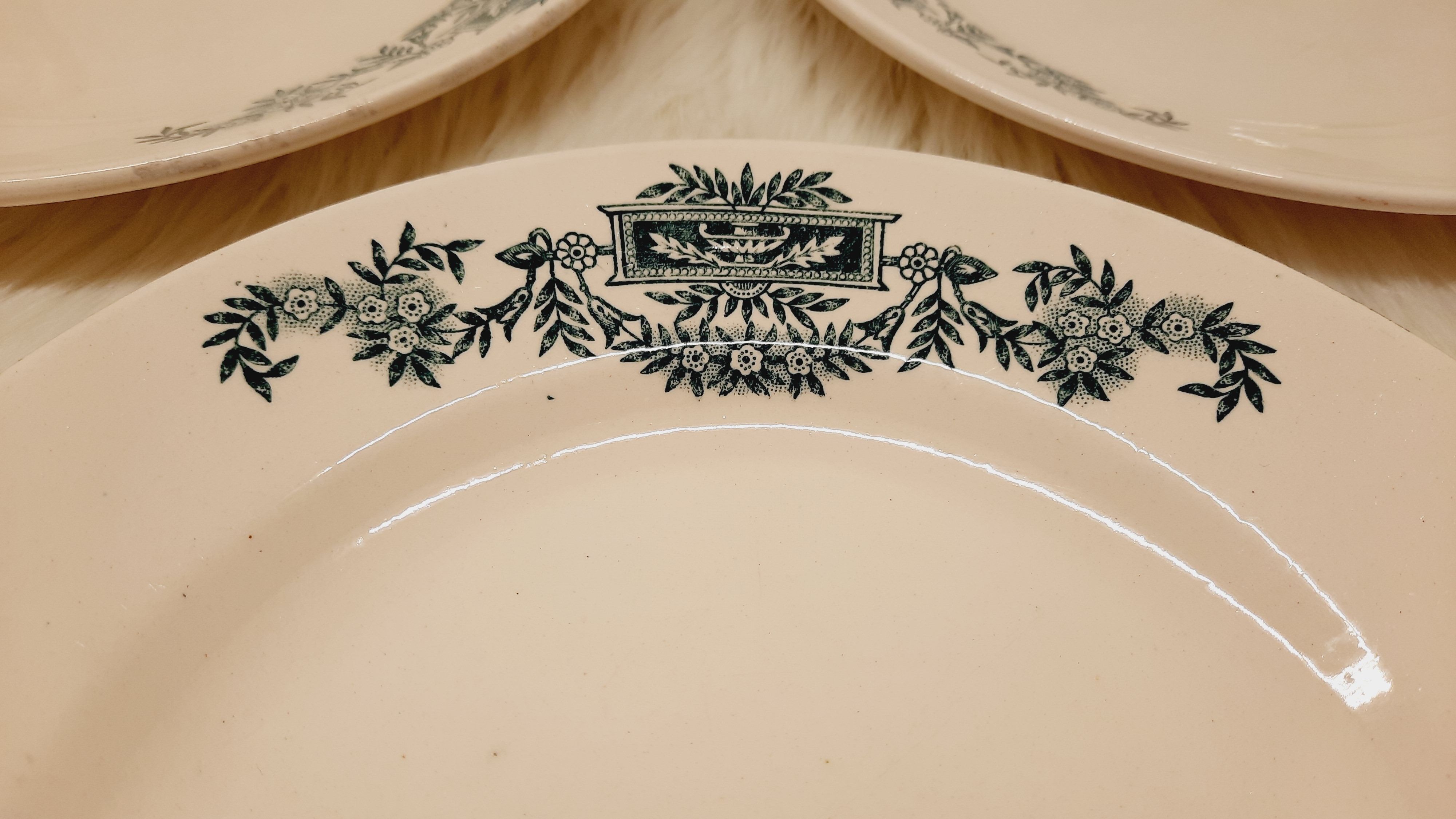 Ser 3 flat plates Iron Earth