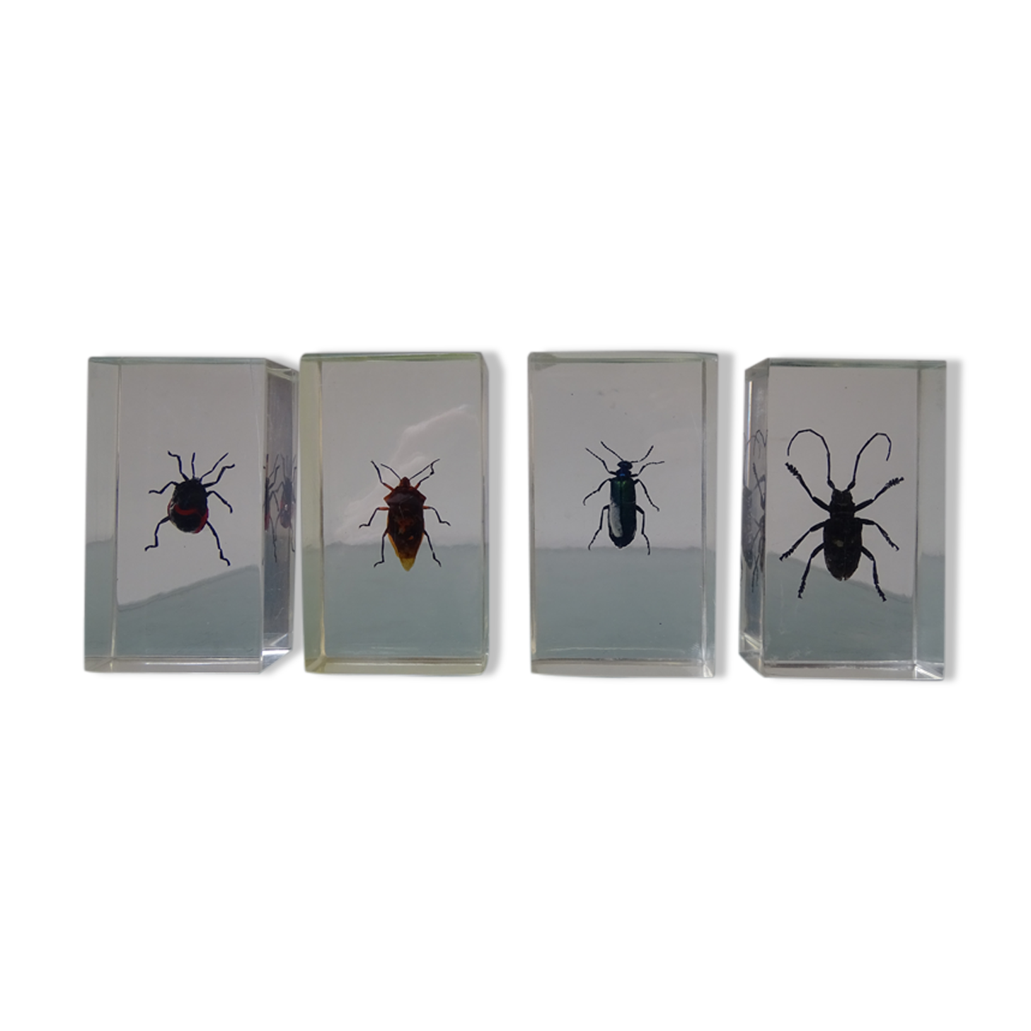 Lot 4 insects inclusions vintage resins to be identified
