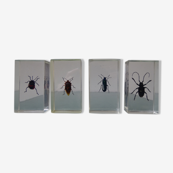 Lot 4 insectes inclusions résines vintage à identifier