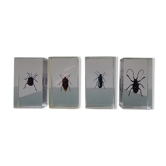 Lot 4 insects inclusions vintage resins to be identified