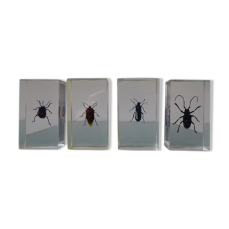 Lot 4 insects inclusions vintage resins to be identified