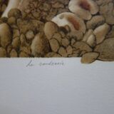 Roland CAT: Bicycle and Mushrooms, original signed lithograph