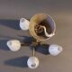 Chandelier in gilded brass and opaline with 5 lights 1960 Vintage.