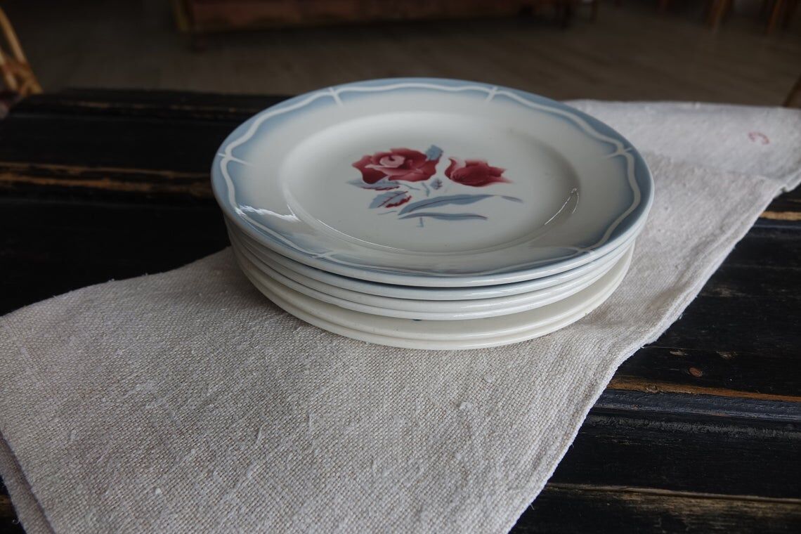 6 mismatched plates - pink and pastel blue - digoin