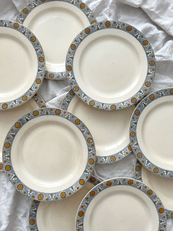 10 assiettes plates en terre de fer « Lamartine » Salins