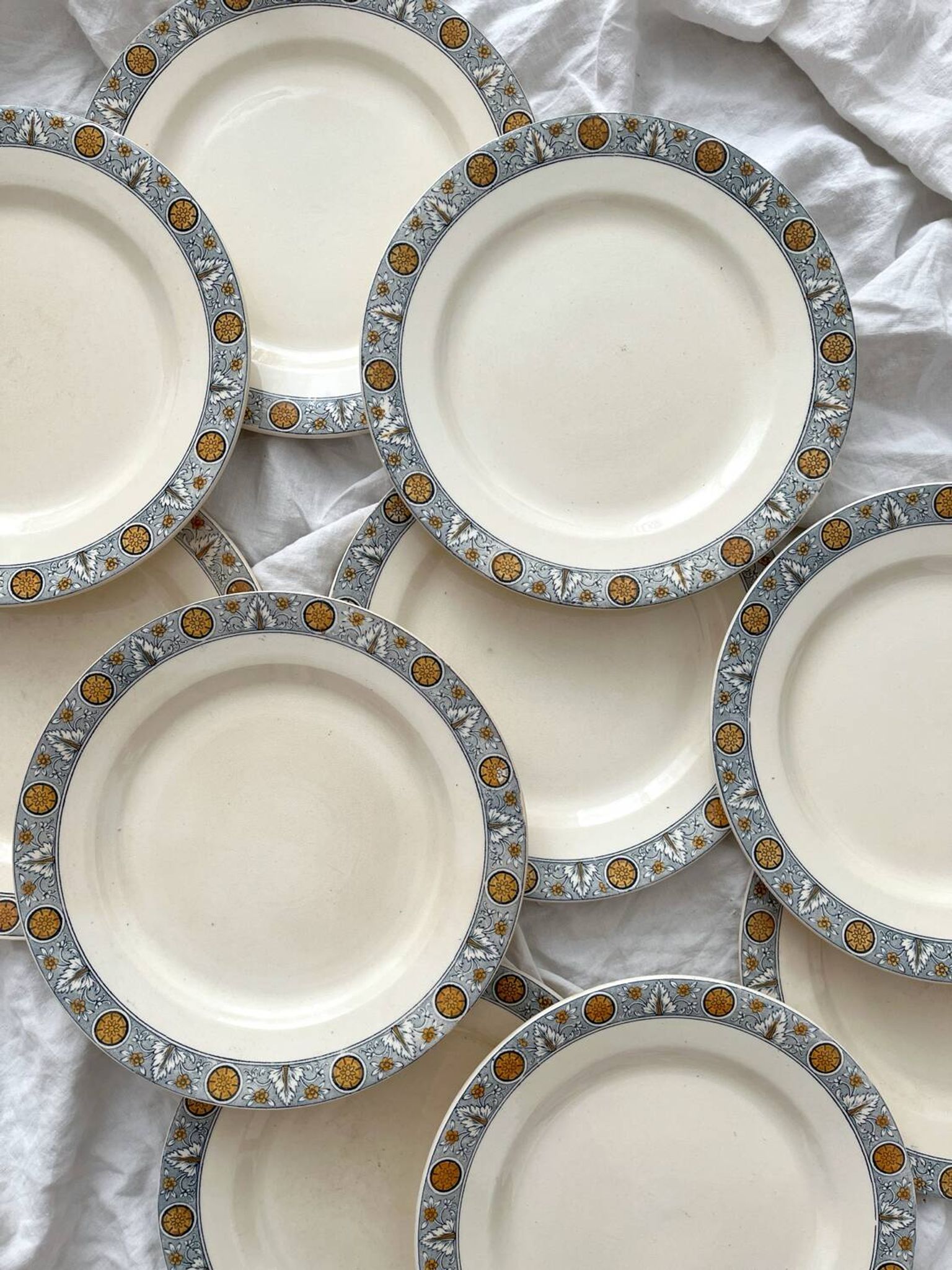 10 assiettes plates en terre de fer « Lamartine » Salins