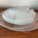 Service 6 plates and shellfish dish Arcoroc