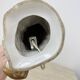 Vintage porcelain Parfume lamp bird , 1950s