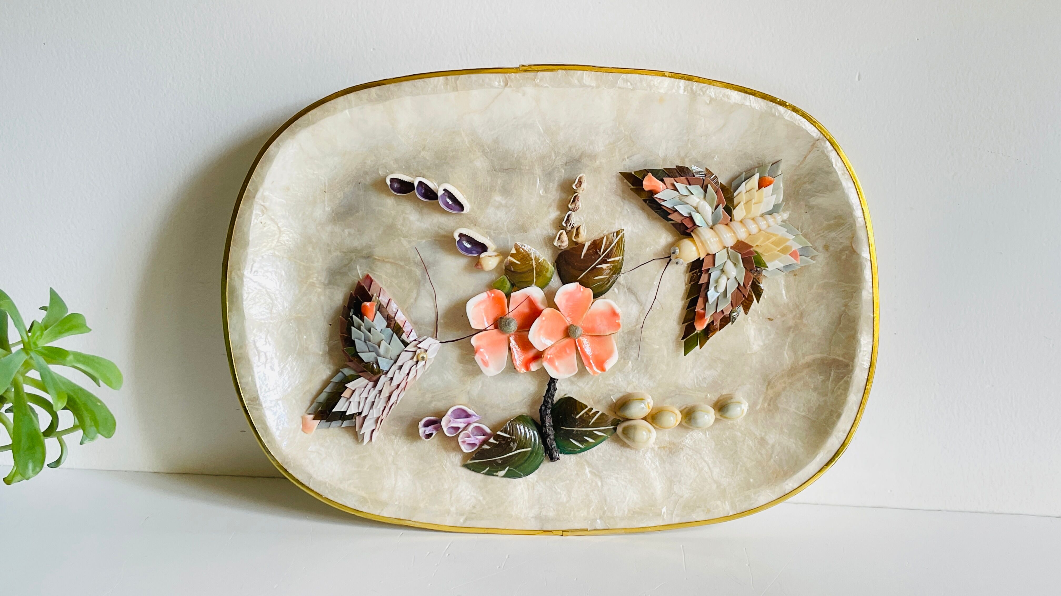 Decorative Shells Plateau Vintage