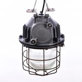 Industrial cage lamp