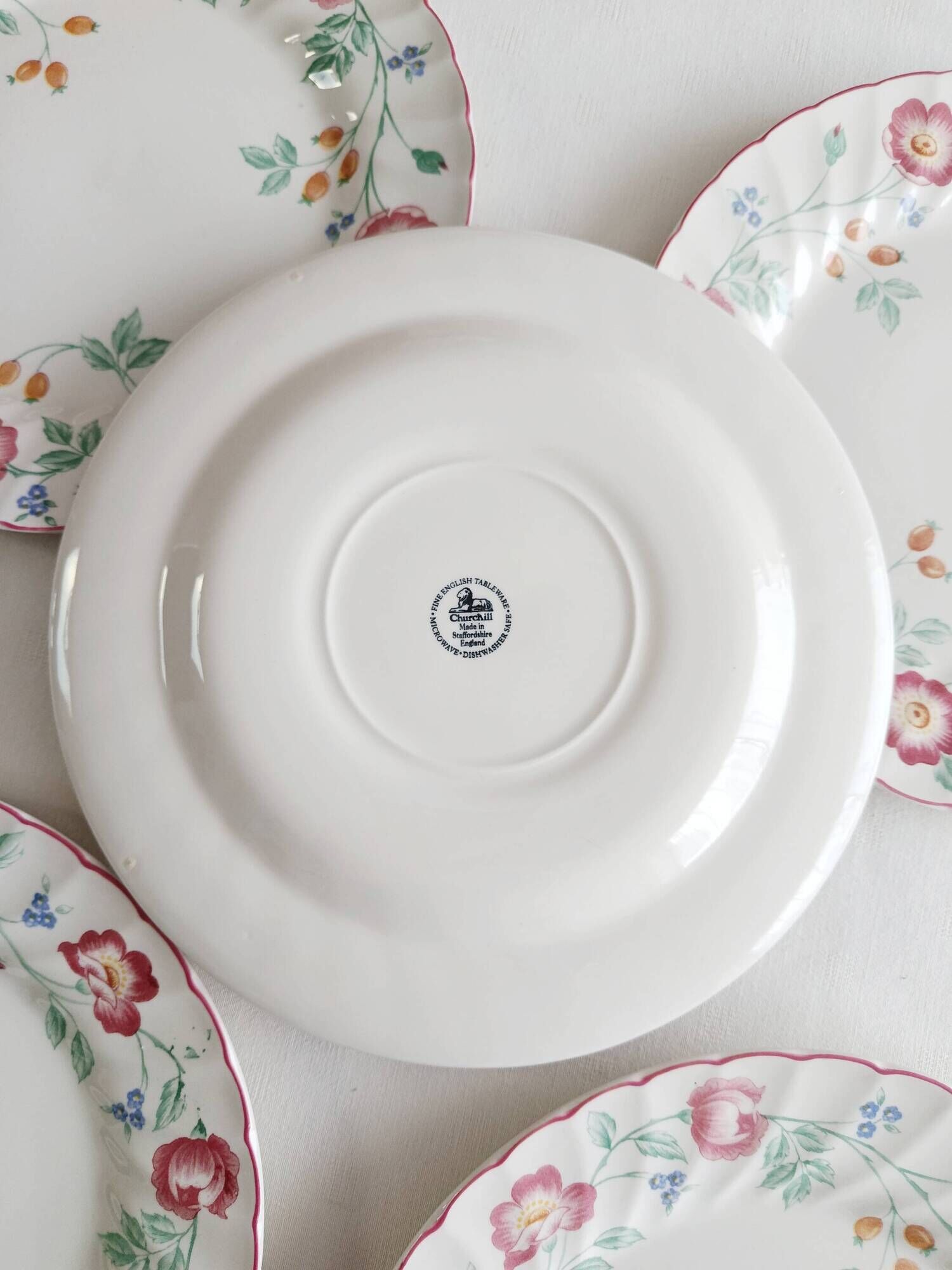 Set of 5 flat plates Churchill, Briar Rose