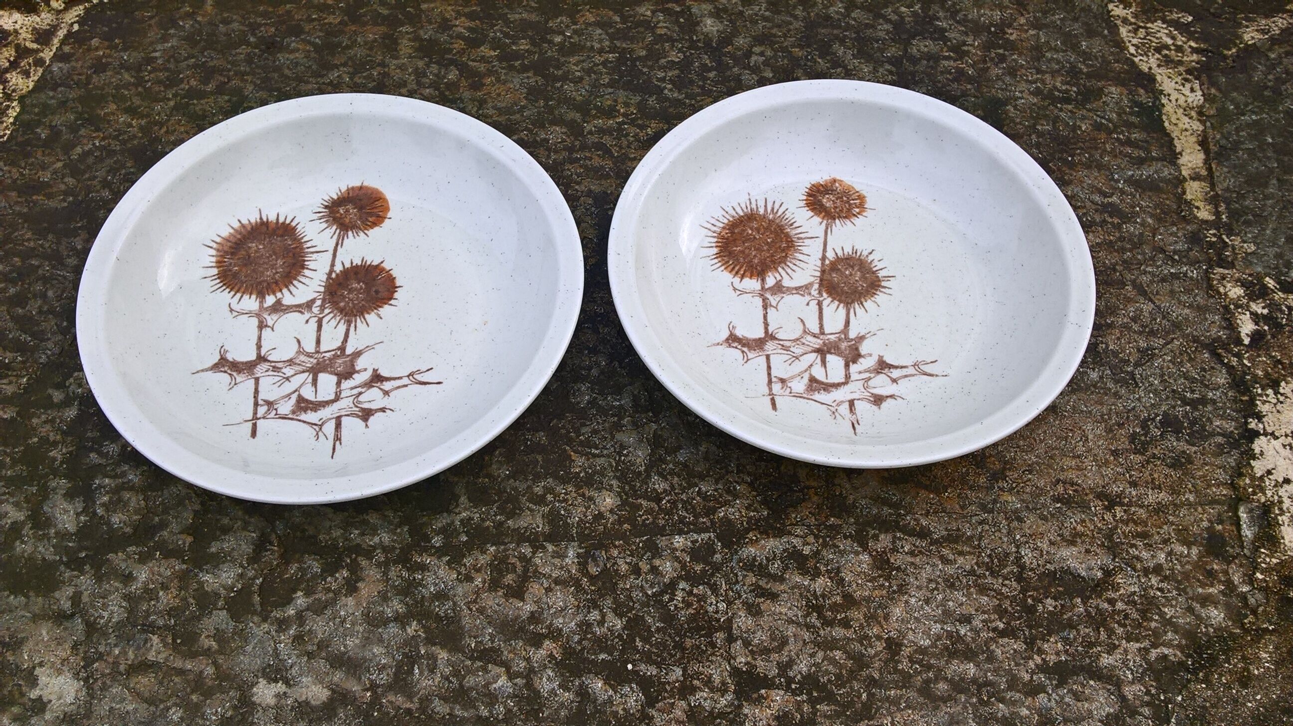 Lot de 2 assiettes creuses Sarreguemines "Chardons"