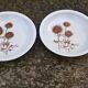 Lot de 2 assiettes creuses Sarreguemines "Chardons"