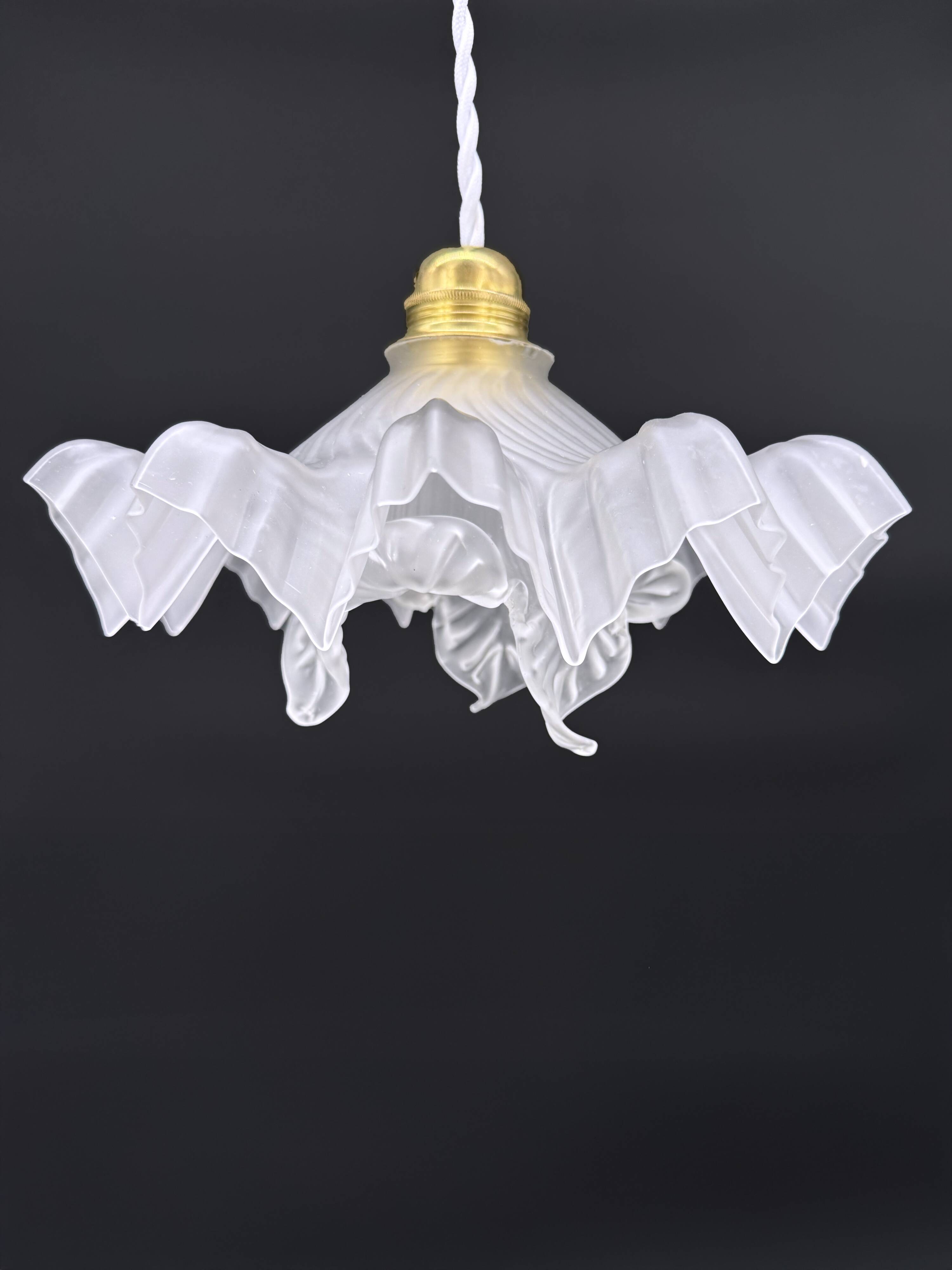 Double Medusa Pendant - Art Nouveau Molded Draped Frosted Glass