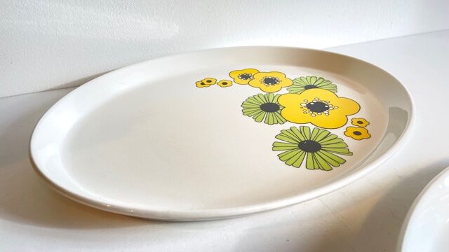 2 Oval Ceramic Dishes English