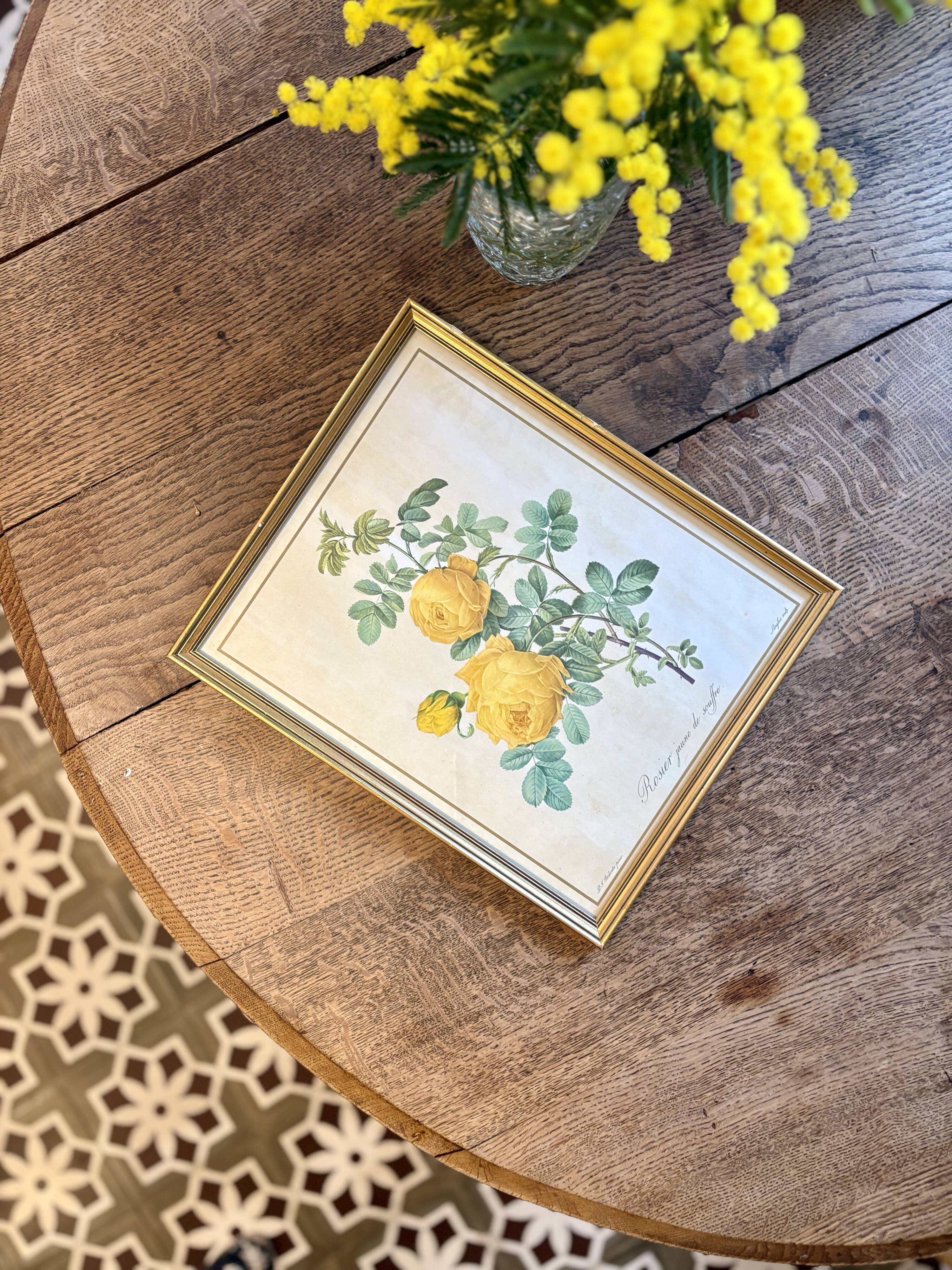 Old frame pink yellow Dreaded