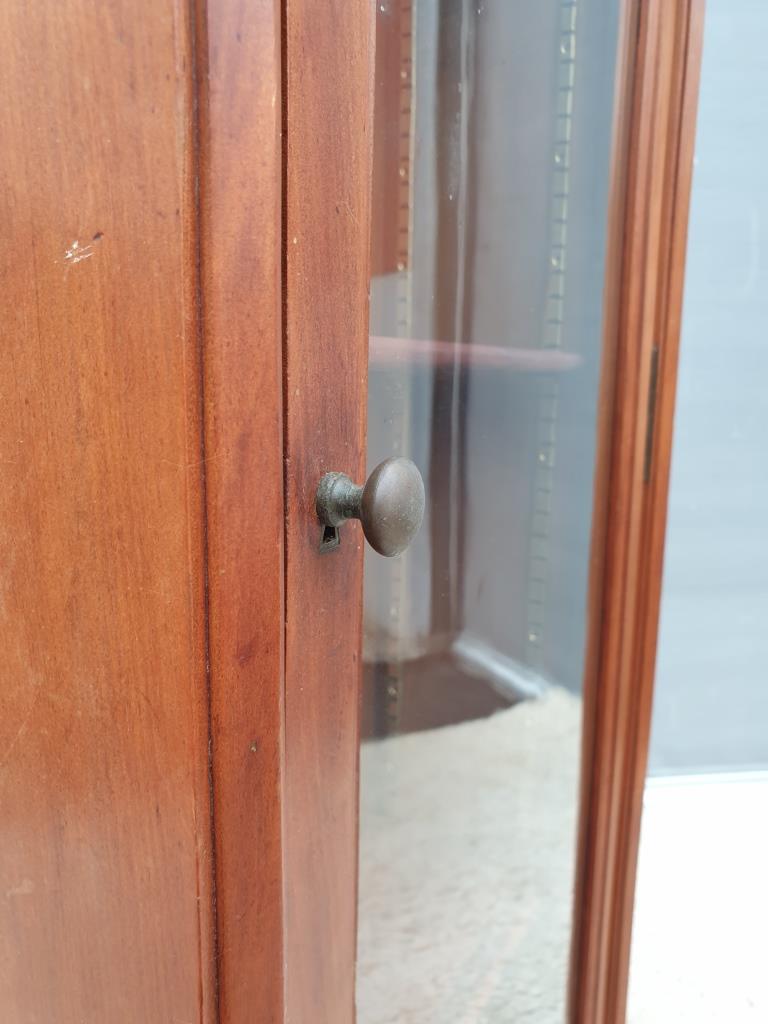 Showcase slender library louis XVI style