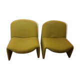 Alky armchairs by Gioncarlo Peretti