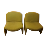 Alky armchairs by Gioncarlo Peretti