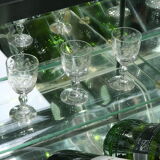 Coffee table in magnifying glass of elm by Paul Michel