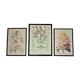 Trois planches botaniques encadrées orchidée rhododendron campanule médium vintage
