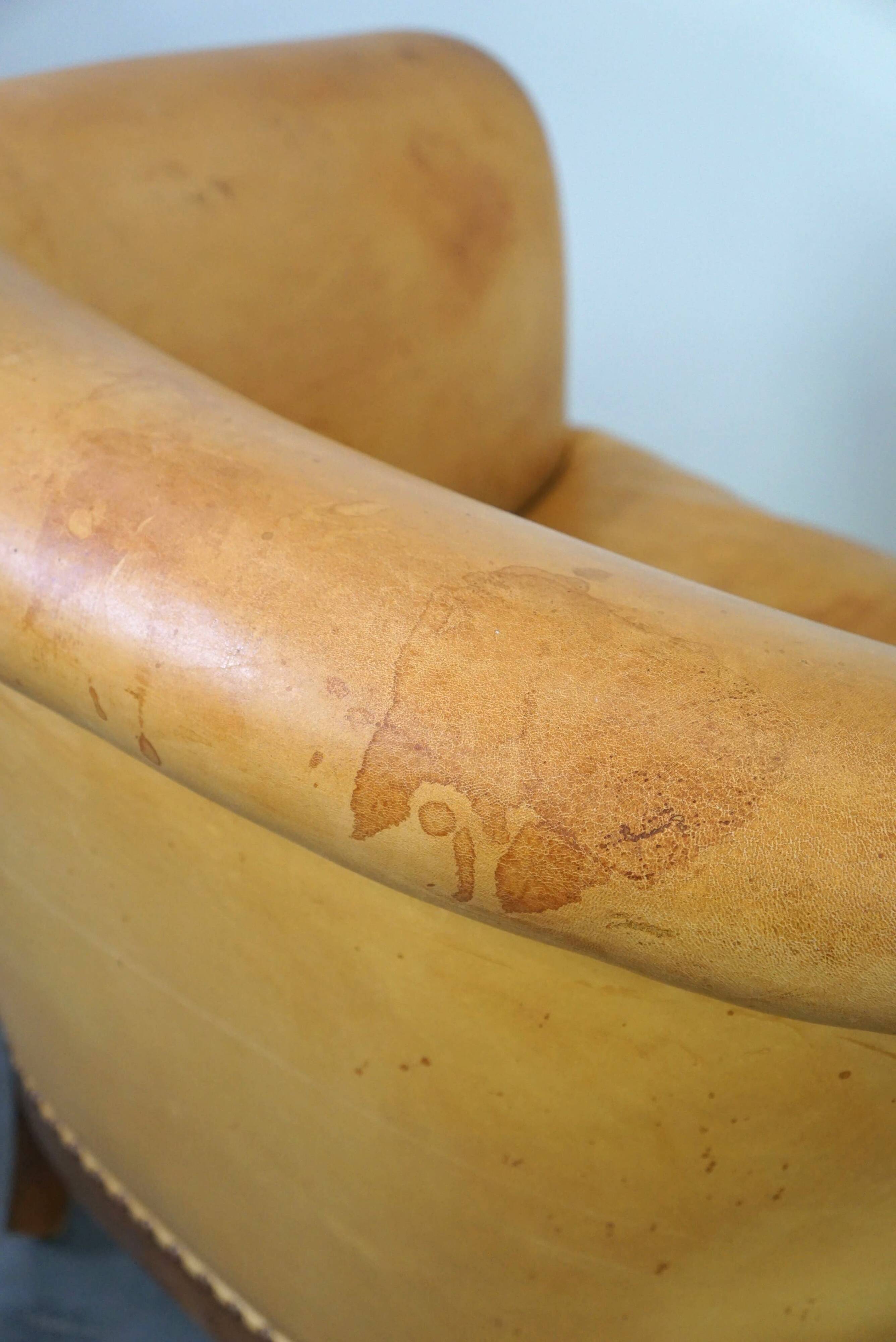 Unique old set of 2 club armchairs and a couch in cognac-colored leather with wheels