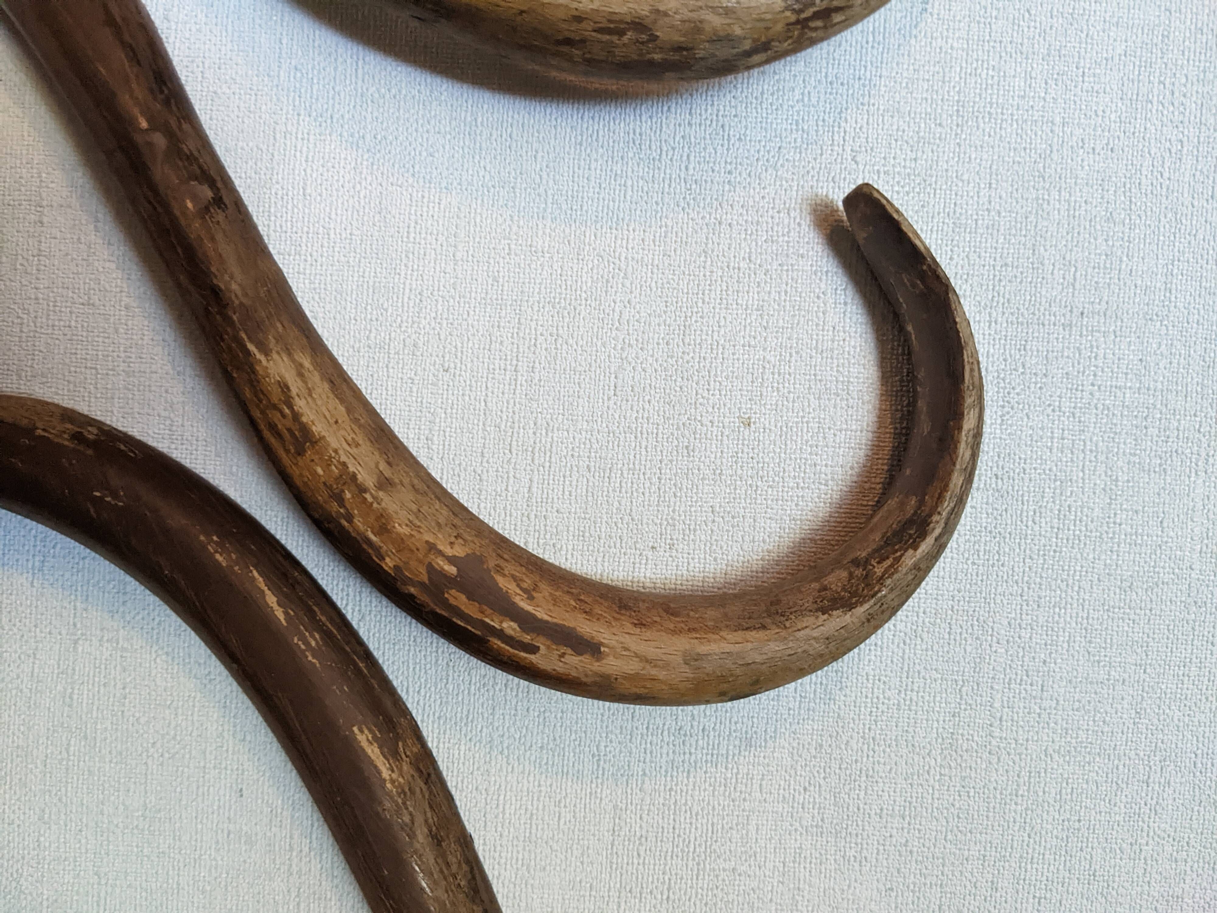 Set of curved wooden coat hooks in Thonet style.