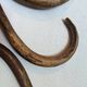 Set of curved wooden coat hooks in Thonet style.